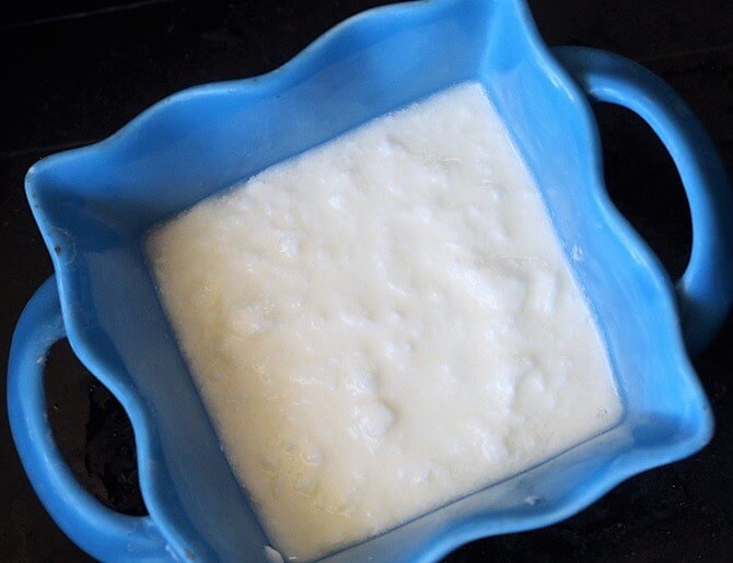 yogurt in a blue square bowl