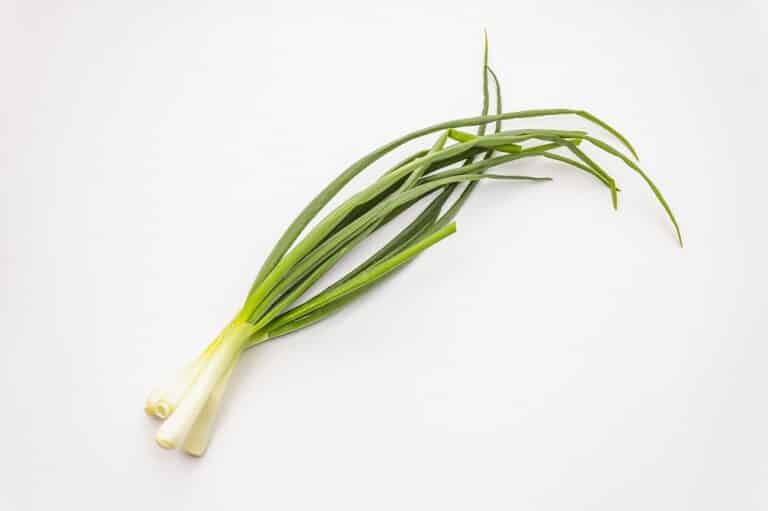 How To Store Spring Onion in Easy Steps Fas Kitchen
