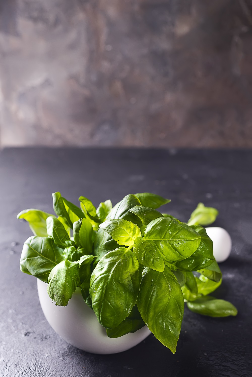 How To Store Fresh Basil In 3 Different & Easy Methods Fas Kitchen