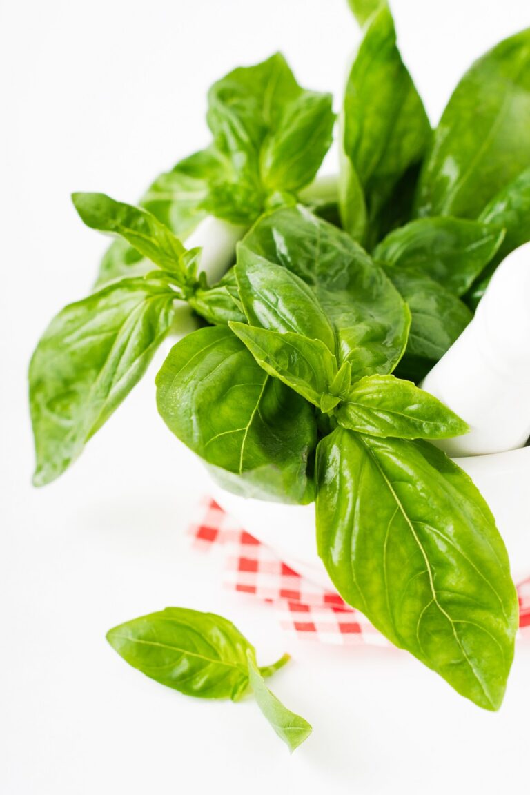 How To Store Fresh Basil In 3 Different & Easy Methods Fas Kitchen