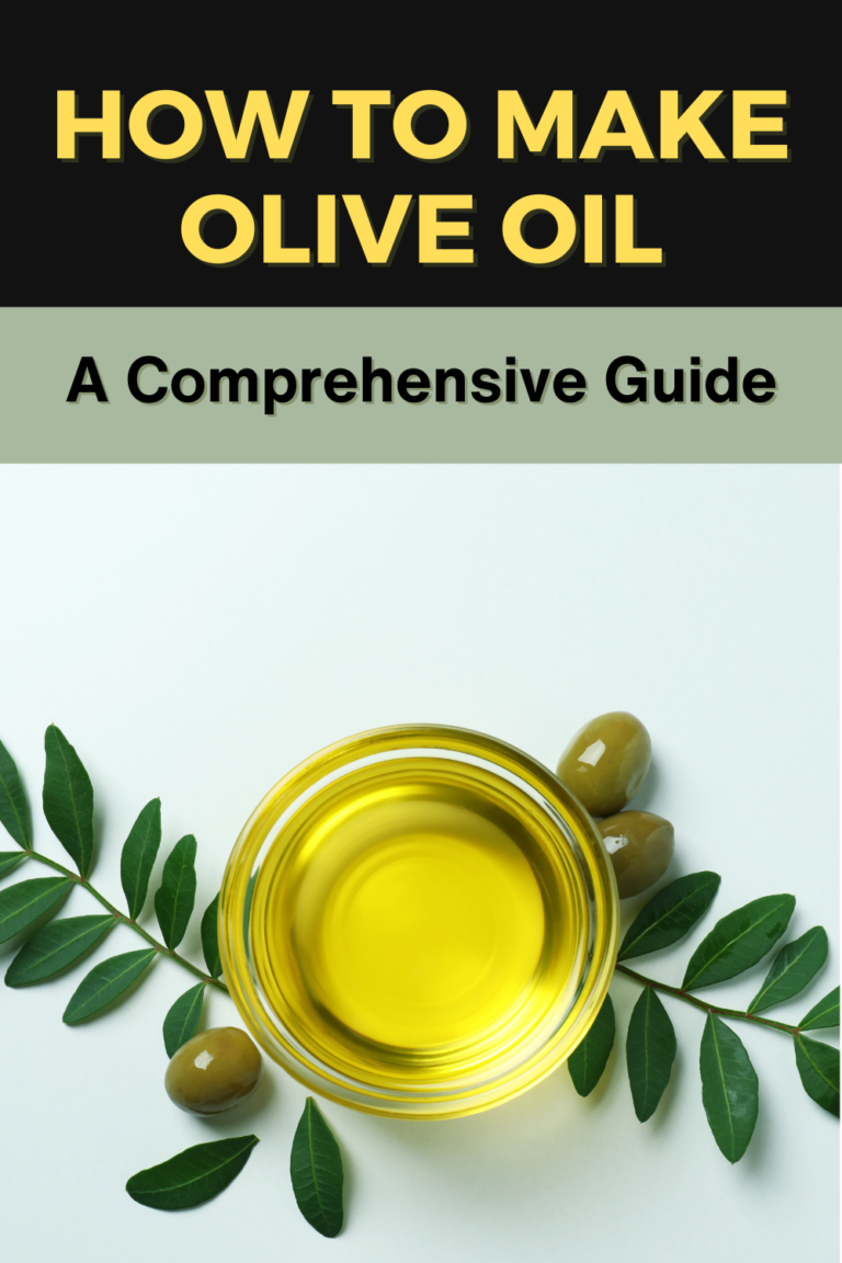 How To Make Olive Oil A Comprehensive Guide How to make Olive Oil at