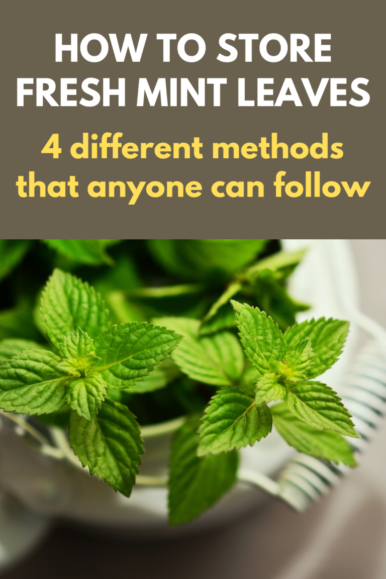Mint Leaves Benefits, How To Store (4 Easy Methods) Fas Kitchen