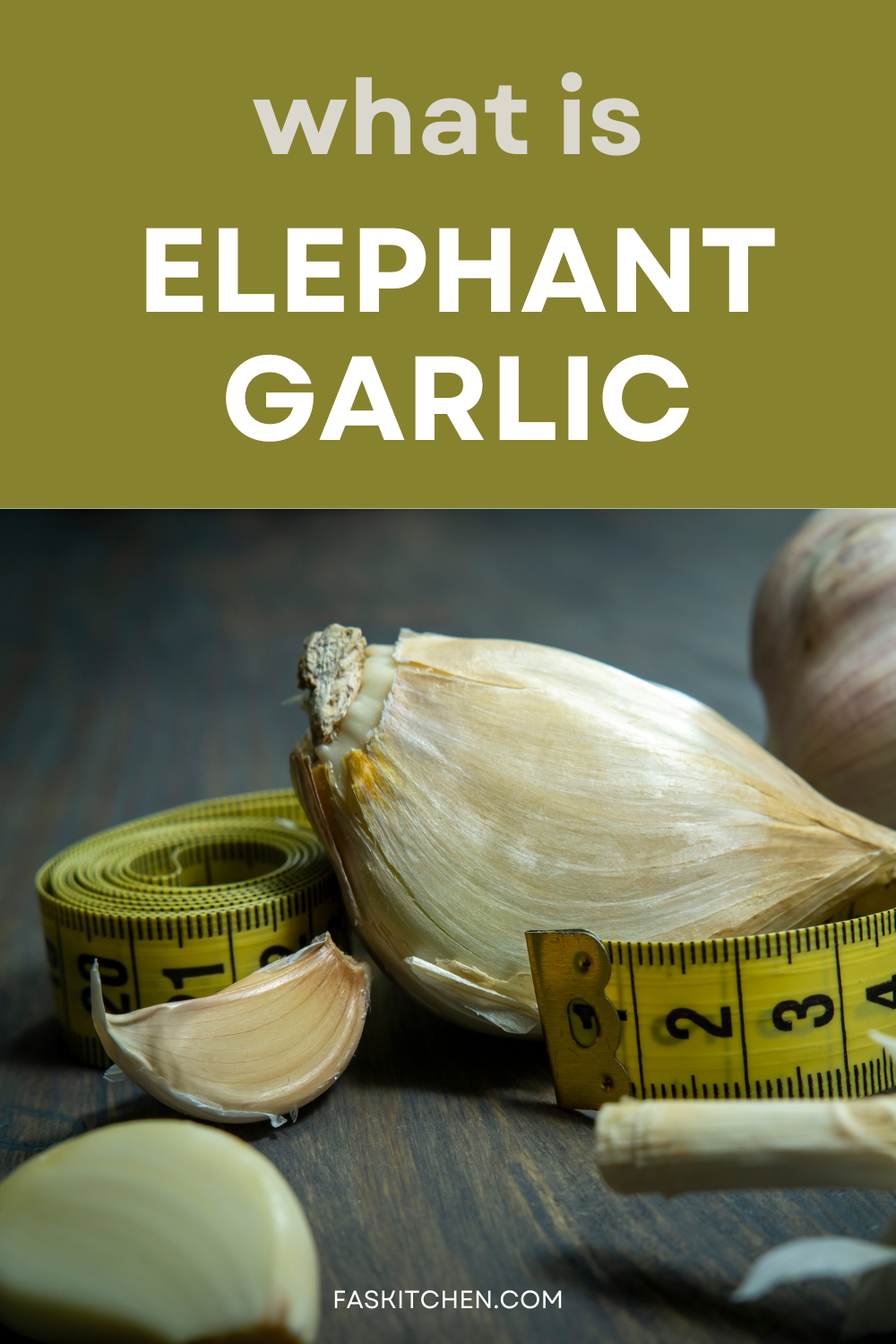 what is elephant garlic