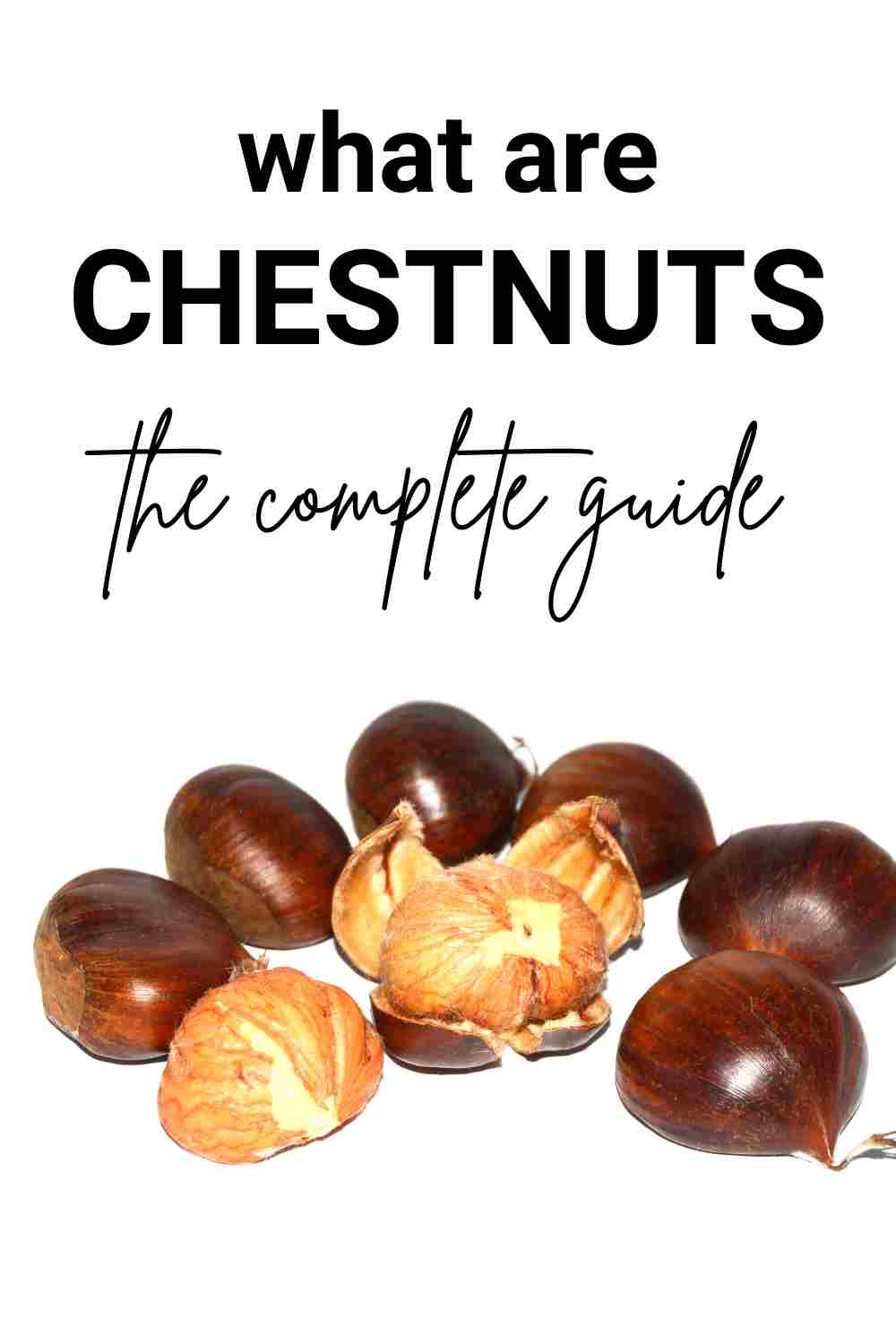 bunch of chestnuts. text reads: what are chestnuts the complete guide