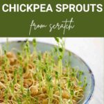 chickpea sprouts cooking