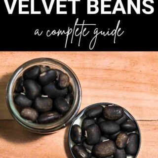 velvet beans