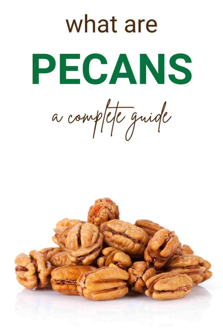 Pecans 101 Nutrition, Benefits, How To Use, Buy, Store Pecans, A