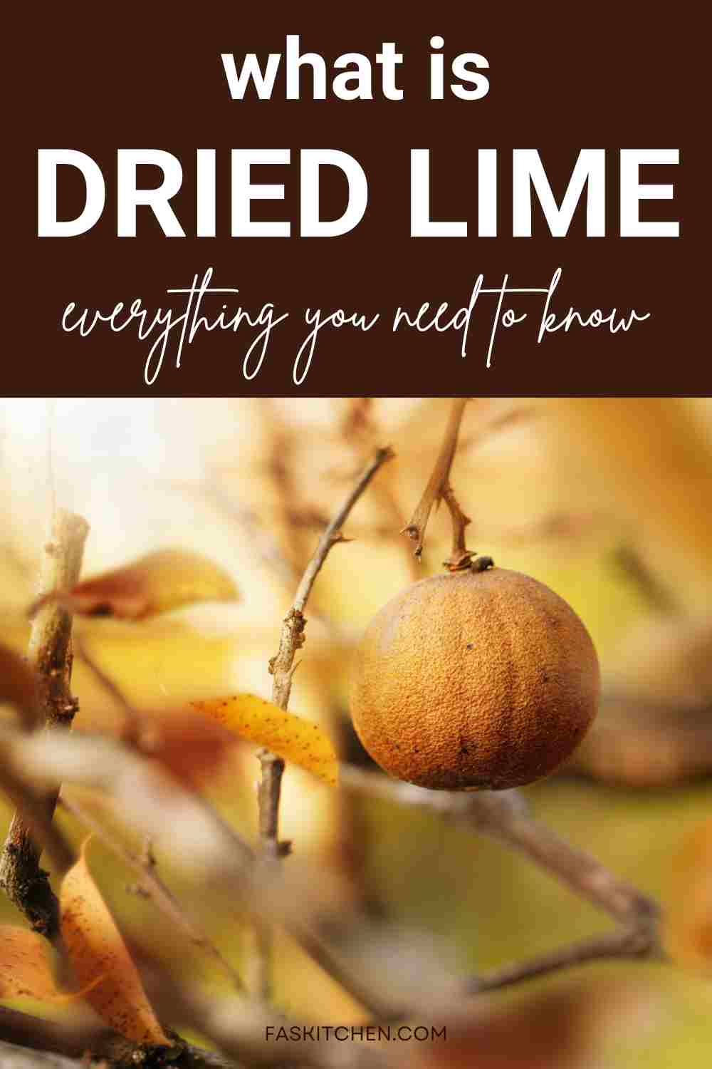 Dried Lime 101 Nutrition, Benefits, How To Use, Buy, Store Dried