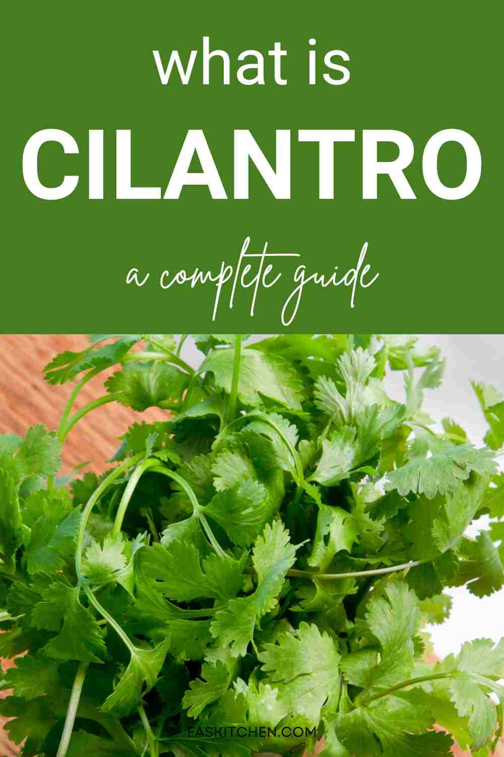 Cilantro 101 Nutrition, Benefits, How To Use, Buy, Store Fresh