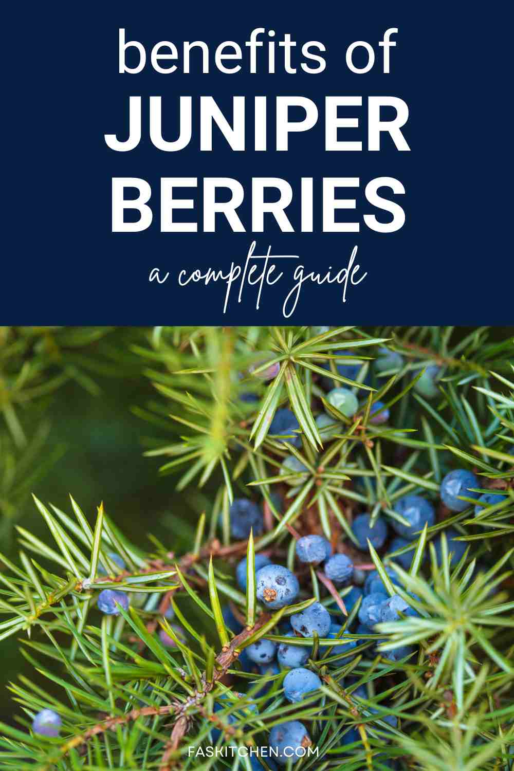 Juniper Berries 101 Nutrition, Benefits, How To Use, Buy, Store