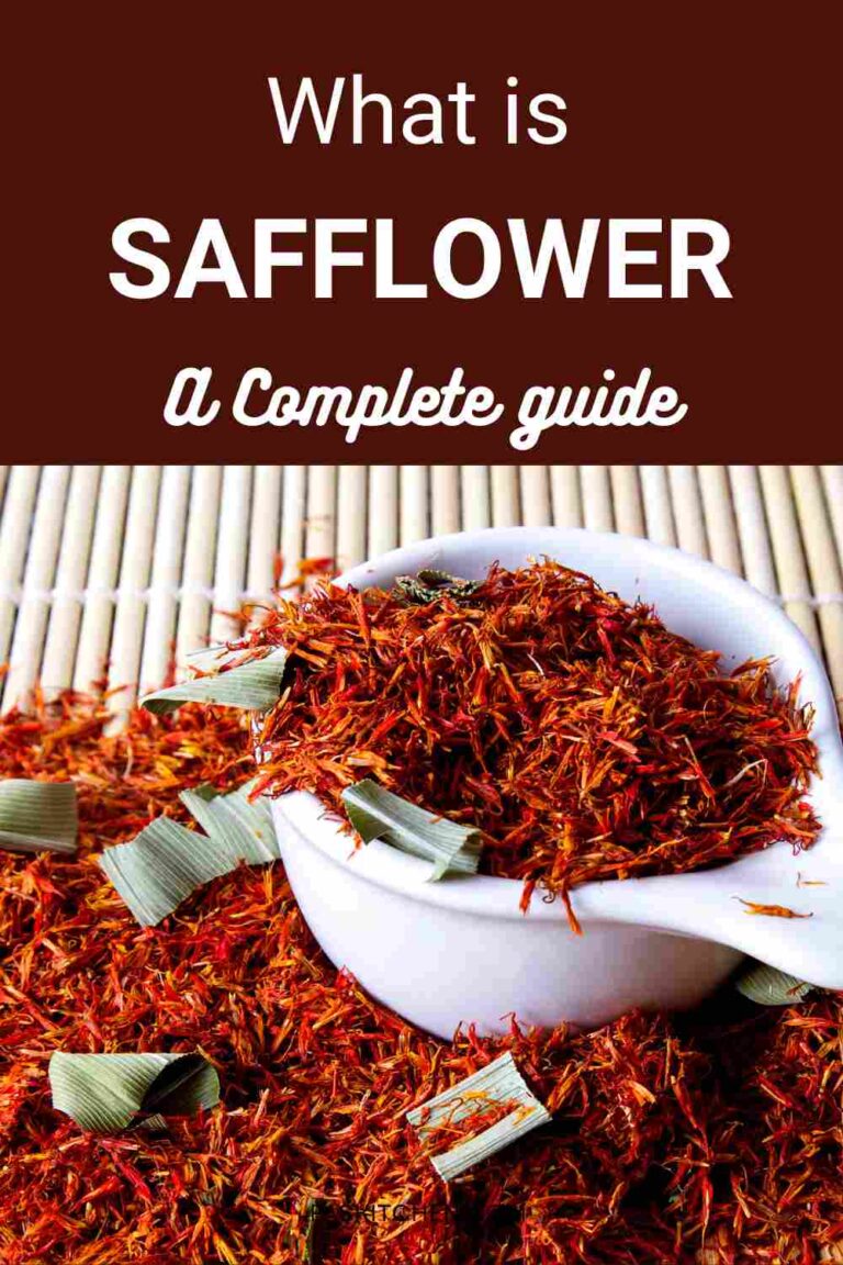 Safflower 101 Nutrition, Benefits, How To Use, Buy, Store Safflower